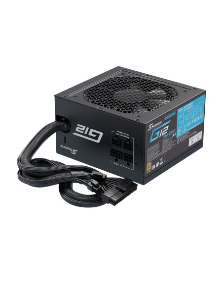 G12-GM-550,Sursa Seasonic G12-GM-550