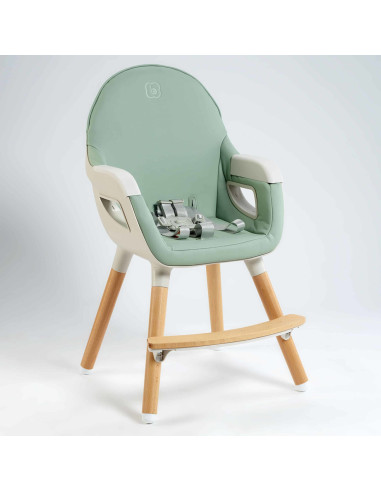 BB-BGO-5452,BabyGo - Scaun de masa transformabil Scandi Green