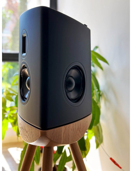 Pac-LYN-CUE100BK,Boxe High-End Lyngdorf CUE-100 Black, Steinway AMT Tweeter, PURIFI Technology, Oak base (pereche)