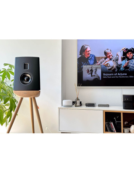 Pac-LYN-CUE100BK,Boxe High-End Lyngdorf CUE-100 Black, Steinway AMT Tweeter, PURIFI Technology, Oak base (pereche)