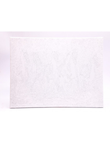 PZN3040-1,Panza pictura pe numere 30x40cm DACO pzn3040-1