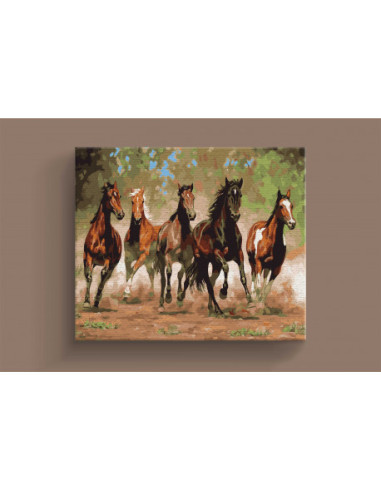PZN3040-1,Panza pictura pe numere 30x40cm DACO pzn3040-1