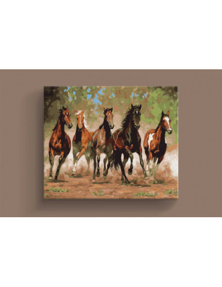 PZN3040-1,Panza pictura pe numere 30x40cm DACO pzn3040-1