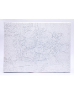 Panza pictura pe numere 30x40cm DACO PZN3040-4 2
