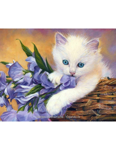 GBN168_4050,Goblen cu Diamante patrate, 40x50 cm, GBN-168