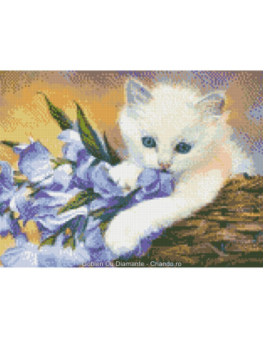 GBN168_4050,Goblen cu Diamante patrate, 40x50 cm, GBN-168