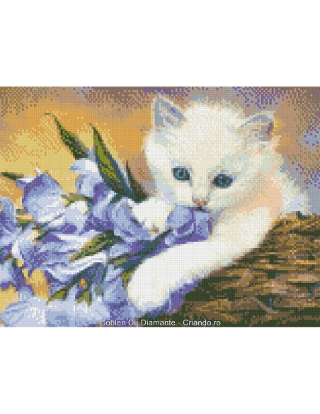 GBN168_4050,Goblen cu Diamante patrate, 40x50 cm, GBN-168