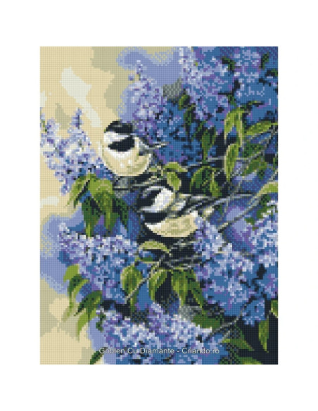 GBN109_4050,Goblen cu Diamante patrate, 40x50 cm, Primavara, GBN-109