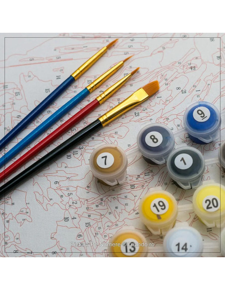 PDP3590_5040,Pictura pe numere Portret 40x50 cm, Mereu Impreuna, PDP3590