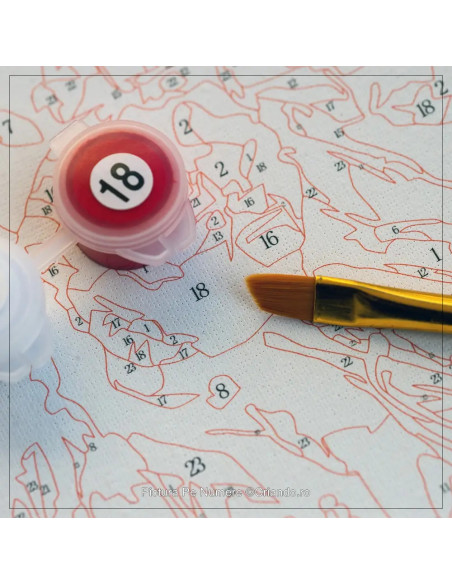 PDP3590_5040,Pictura pe numere Portret 40x50 cm, Mereu Impreuna, PDP3590