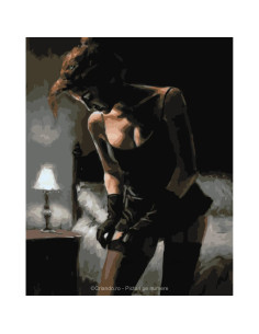PDP3573_5040,Pictura pe numere Erotic 40x50 cm, Placere Nocturna, PDP3573