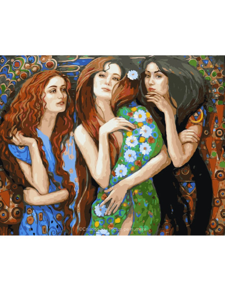 PDP3097_5040,Pictura pe numere Portret 40x50 cm, Cele 3 Admiratoare, PDP3097