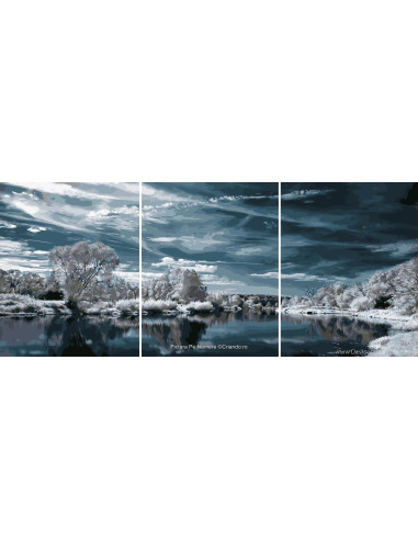 PDP5114_TT5040,Pictura pe numere Triptic 120x50 cm, cod PDP5114
