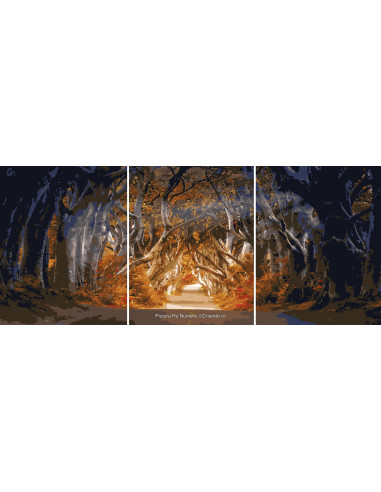 PDP5106_TT5040,Pictura pe numere Triptic 120x50 cm, cod PDP5106