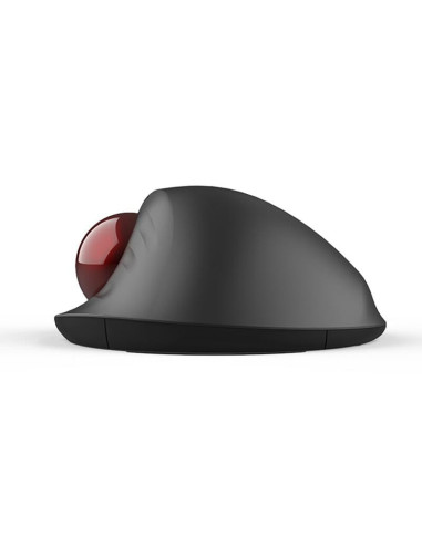 MT1-BK,Mouse wireless si bluetooth cu trackball Delux MT1 negru