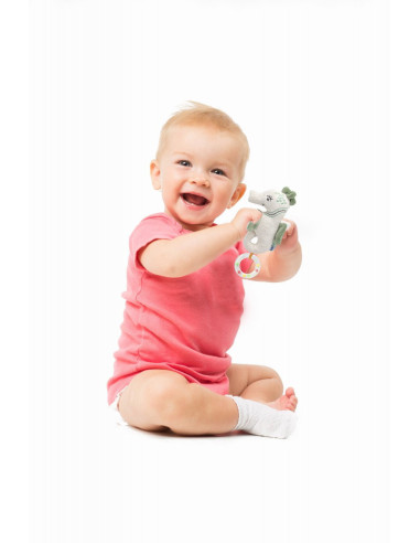 UP-bj_8181,Jucarie zornaitoare BabyJem, Calut de mare din plus, 3 luni+ (Culoare: Verde)