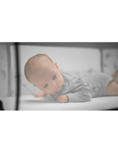 BN-LO-LEONIE_PLUS_GREY_STONE,Lionelo - Patut co-sleeper Leonie Plus, Pliabil, Cu sistem de leganare, Cu setare unghiulara, Regla