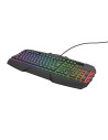 23855,Tastatura Trust GXT881, RGB LED, USB, Negru