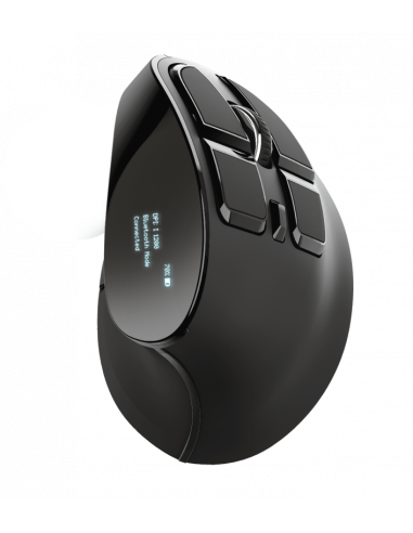 Mouse Trust Voxx, Rechargeable Ergonomic Wireless