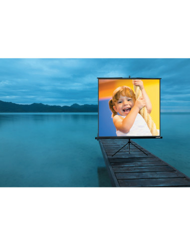 87652,Ecran proiectie Reflecta Crystal-Line Tripod 200x200cm "87652"