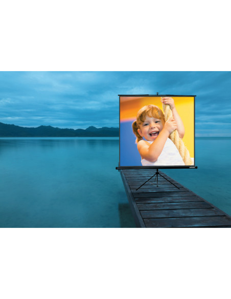 87652,Ecran proiectie Reflecta Crystal-Line Tripod 200x200cm "87652"