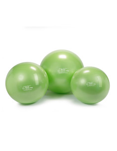 Gym9195,Minge de fizioterapie Physio Gymnic Plus 95 BQR 2