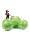 Gym9198,Minge de fizioterapie Physio Gymnic Plus 120 BQR