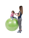 Gym9198,Minge de fizioterapie Physio Gymnic Plus 120 BQR