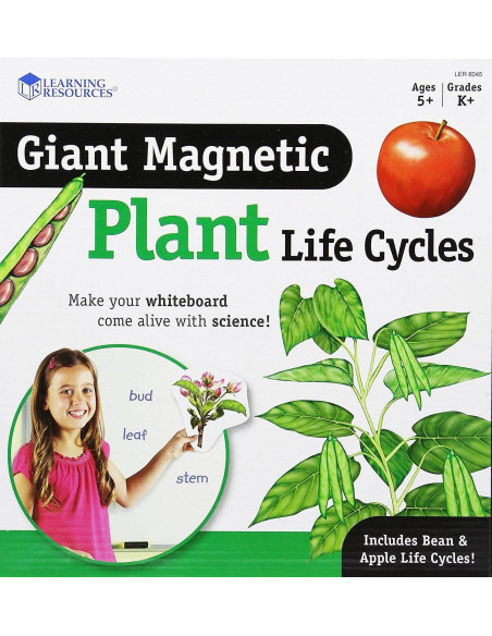 LER6045,Ciclul vietii plantei - set magnetic