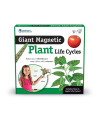 LER6045,Ciclul vietii plantei - set magnetic