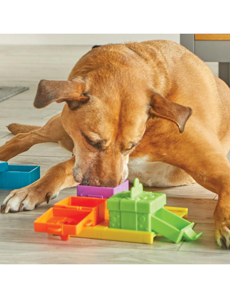 LER9366,Set dresaj caini - Jucarie interactiva pentru recompense petrecere surpriza