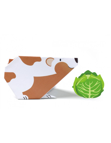 CH211786,Origami - Animale de companie - nivel 1 CH211786,Origami - Animale de companie - nivel 1