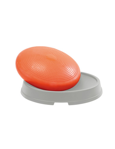 Gym9511,Disc wellness Disco Dome