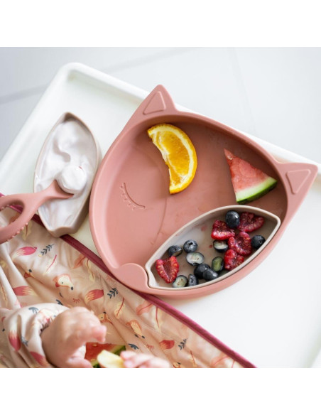 TSPFX,Farfurie diversificare din silicon - Vulpita