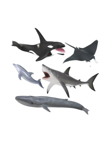 COL84072WB,Set de 5 figurine pictate manual Viata Marina