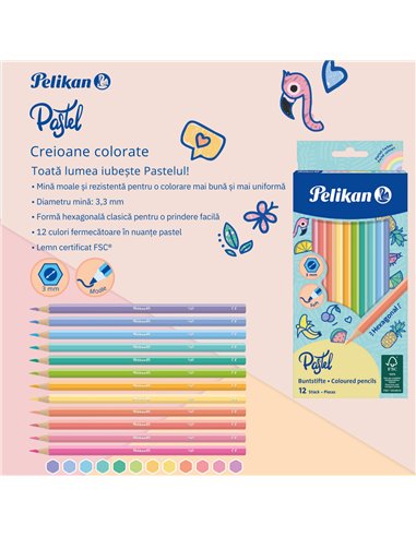701143,Creioane color Pastel Herlitz, set 12 culori
