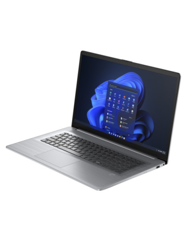817B6EA#ABB,Laptop HP ProBook 470 G10, Intel Core i5-1335U, 17.3inch, RAM 16GB, SSD 512GB, Asteroid Silver