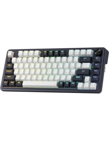 K673WB-RGB-PRO,Tastatura Redragon Ucal Pro, RGB LED, USB/USB Wireless/Bluetooth, Negru cu alb