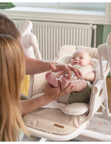 CRL-10303/367,Scaun de masa si leagan electric controlabil prin aplicatie pe mobil Carrello CASCATA (CRL-10303/1) Space Grey