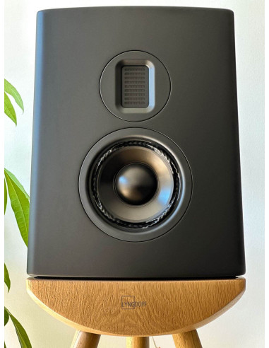 Pac-2xCUE100BK+TDAI-3400,Sistem stereo High-End cu boxe Lyngdorf CUE-100 si amplificator TDAI-3400