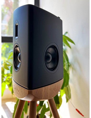 Pac-2xCUE100BK+TDAI-3400,Sistem stereo High-End cu boxe Lyngdorf CUE-100 si amplificator TDAI-3400