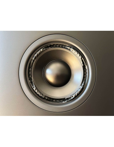 Pac-2xCUE100BK+TDAI-3400,Sistem stereo High-End cu boxe Lyngdorf CUE-100 si amplificator TDAI-3400