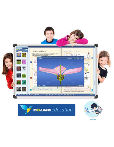 Moza-ED-mkst1,Software Mozaik Student, lectii interactive in timp real, licenta 1 / 1an