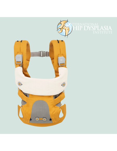 BB-V1907AABSC000,Joie - Sistem ergonomic Savvy, Butterscotch