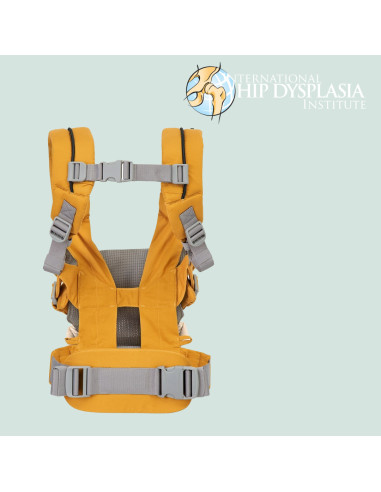 BB-V1907AABSC000,Joie - Sistem ergonomic Savvy, Butterscotch