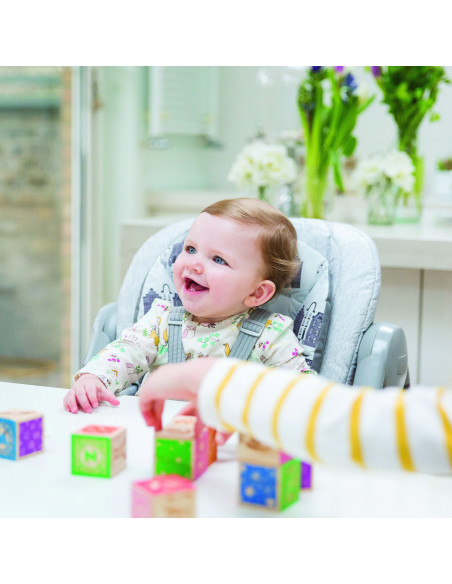 BB-H1605AAFLF000,Joie - Scaun de masa Multiply 6 in 1 Flowers Forever, 6 luni - 6 ani