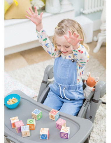 BB-H1605AAFLF000,Joie - Scaun de masa Multiply 6 in 1 Flowers Forever, 6 luni - 6 ani