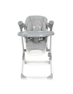 10100302395,Leagan electric Ventura, Grey Trees 2