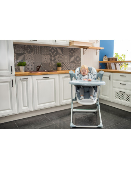 10100302395,Leagan electric Ventura, Grey Trees