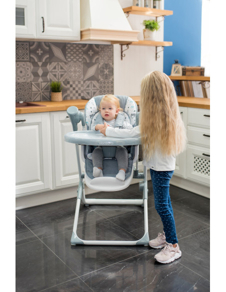 10100302395,Leagan electric Ventura, Grey Trees